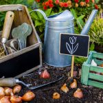 shutterstock 588565037