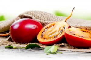 iStock 487334592