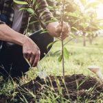 shutterstock 1023698722