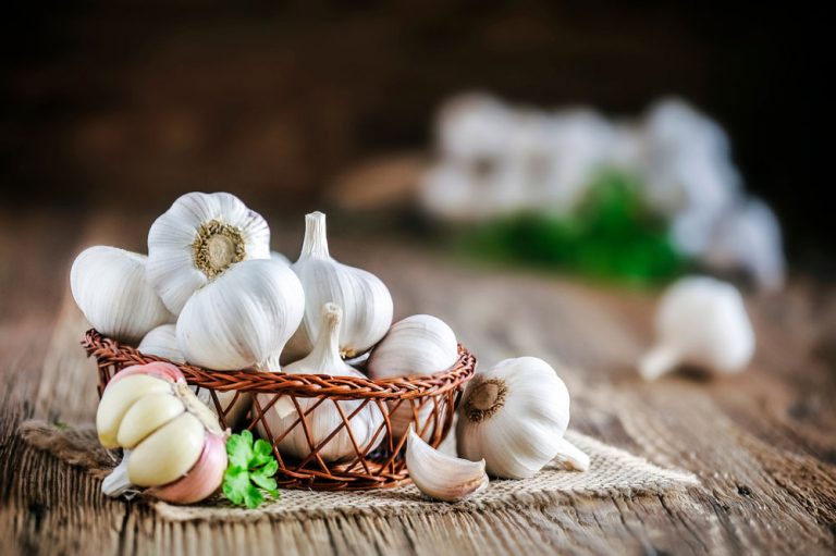 Ako zatočiť s chorobami a škodcami cesnaku