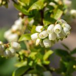 shutterstock 1399538402