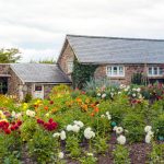 shutterstock 1460847128