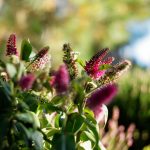 shutterstock 1511229293