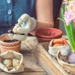 shutterstock 582131302