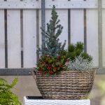 00 DanoVeselsky uvodne foto 7001