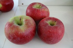 Jablká, odroda Nabella