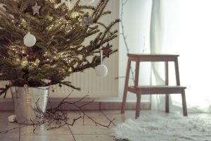Ako sa postarať o vianočný stromček, aby vydržal čo najdlhšie