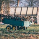 shutterstock 1056162770