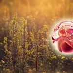 shutterstock 151579724