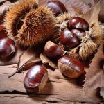 shutterstock 1716024169