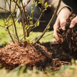 shutterstock 626103812