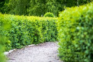shutterstock 641705422