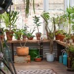 shutterstock 1377207638