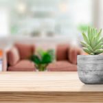 shutterstock 1505028113