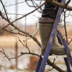 shutterstock 1868718025