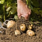 shutterstock 237494980