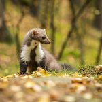 shutterstock 761327077