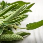 shutterstock 1048532110