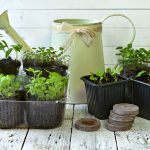 shutterstock 1065147050