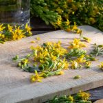 shutterstock 1508930360