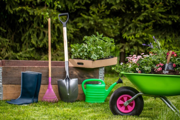 Akých chýb sa vyvarovať pri plánovaní záhrady pre krásu aj úžitok?