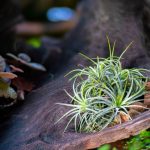 shutterstock 1779592634