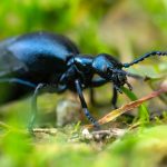 shutterstock 1791828719