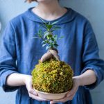 shutterstock 1795989064