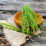 shutterstock 1872020965