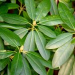 shutterstock 1893685027