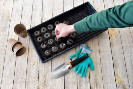 Vysievanie do rašelinových tabliet