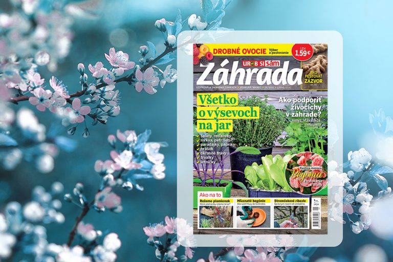Záhrada 1/2021 v predaji!