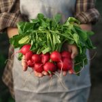 shutterstock 1451936078