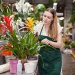 Žena pri broméliách, záhradníctvo