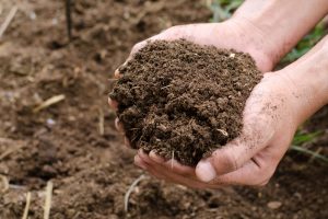 Kompost a pôda v dlaniach