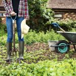 Žena v záhrade, fúrik, náradie, rýľovacie vidly