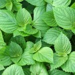 shutterstock 1896565558