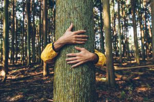 Objímanie stromu