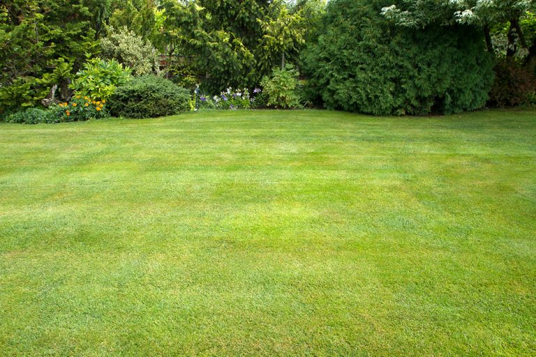 Krásny trávnik a pekné kvety potrebujú správnu výživu