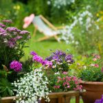 Kvíz: Ako dobre poznáte trvalky?