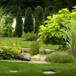 Veľký prehľad solitérnych rastlín, z ktorého si určite vyberiete