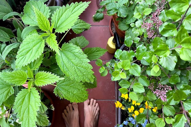Túžite po záhrade? Vytvorte si svoj kúsok záhradného raja na balkóne