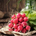 Zväzok červenej reďkovky na stole