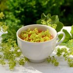 Čaj z alchemilky žltozelenej