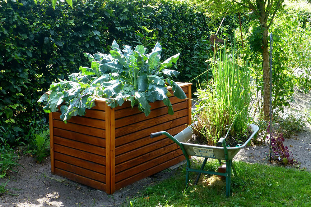 garden 883095 1280