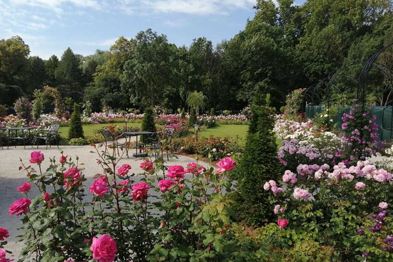 Využite ešte koniec prázdnin a urobte si výlety za rastlinami. Na týchto miestach sa vám určite bude páčiť!