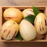 Pepino – melónový stromček s indiánskou históriou