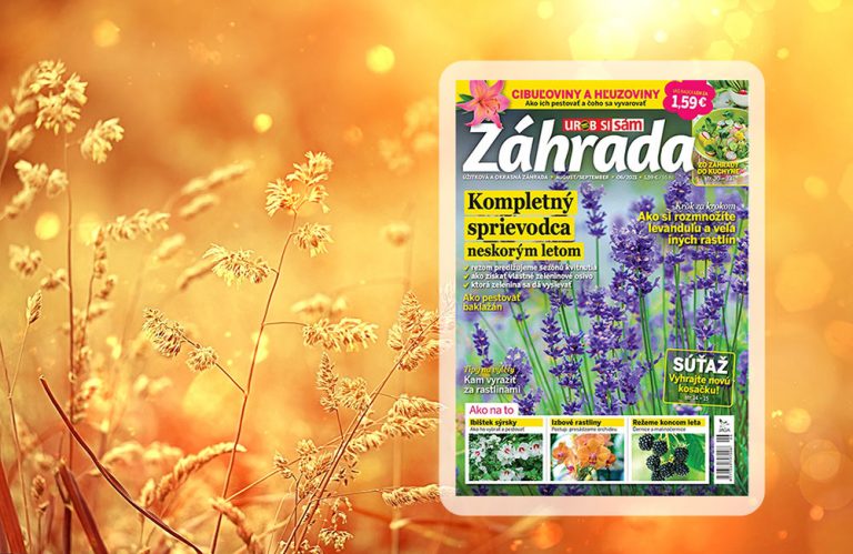 Záhrada 6/2021 je už v predaji!