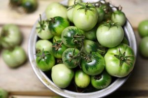 Nezrelé zelené paradajky