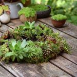 Veniec zo skalných ruží